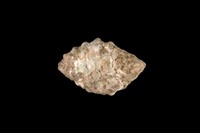 藏品(結螺)的圖片